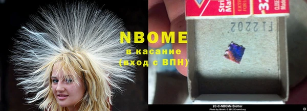 тгк Бородино