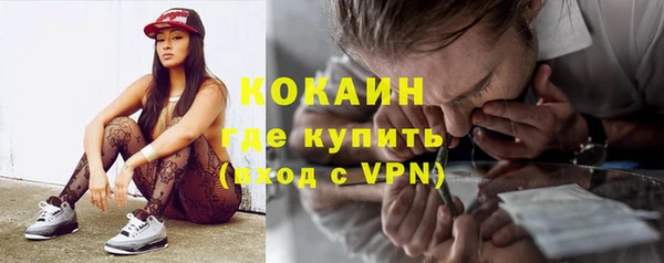 тгк Бородино