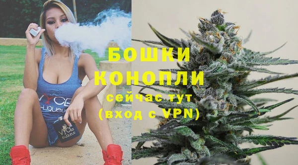 соль ск Бронницы